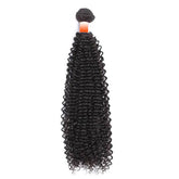 1 Bundle Brazilian Virgin Human Hair Weave Bundles Curly | SULMY.